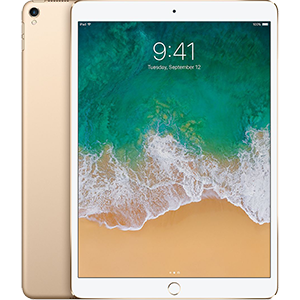 Máy tính bảng iPad Pro 10.5 inch Wifi 64GB - 99%