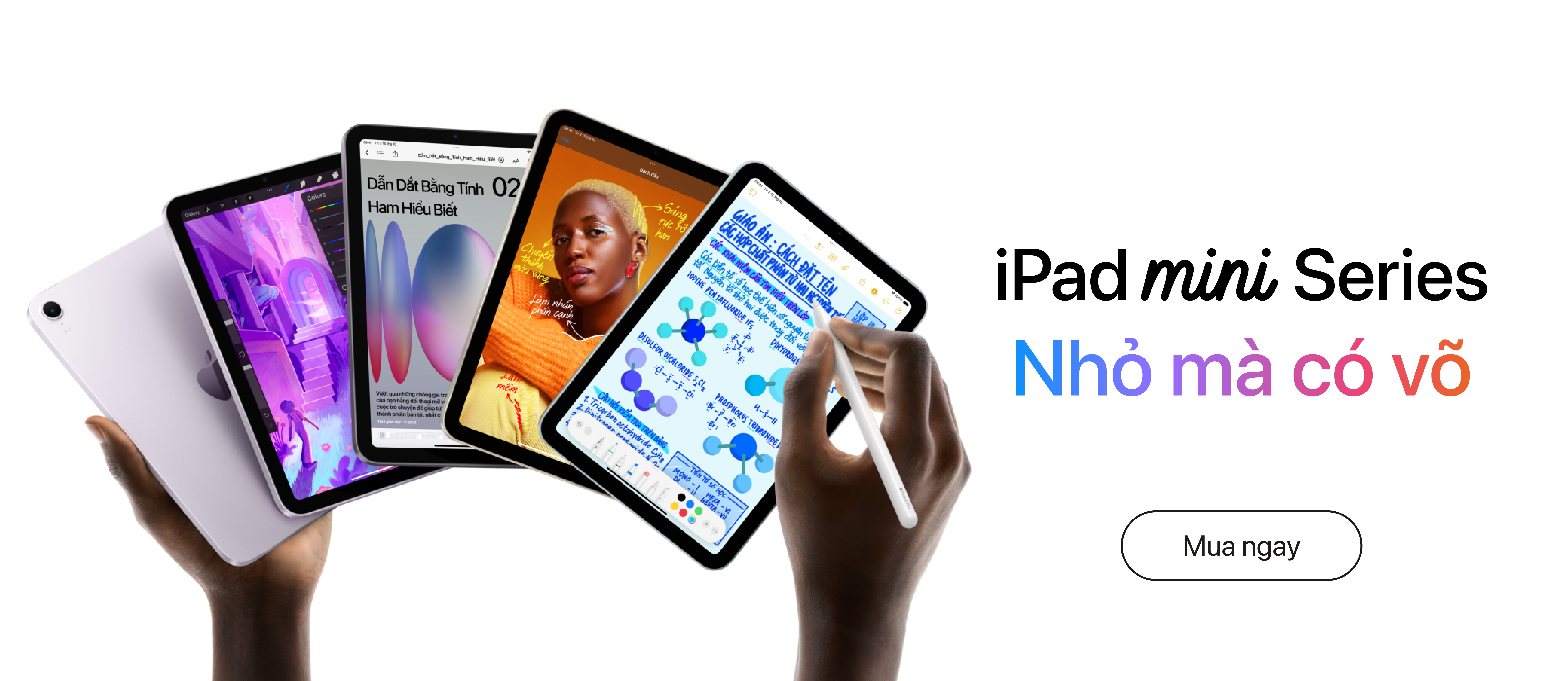 iPad Mini Series