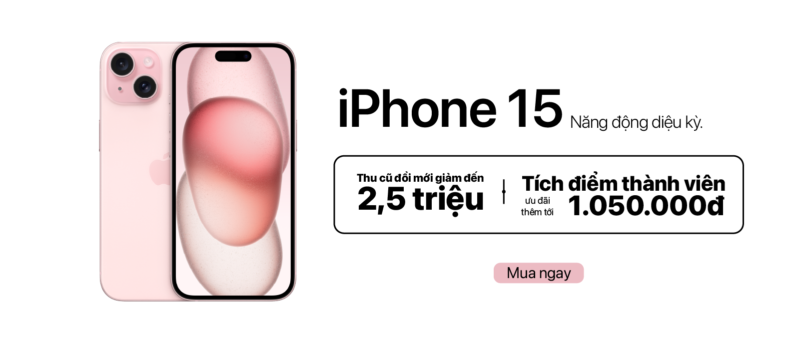 iPhone 15 Series