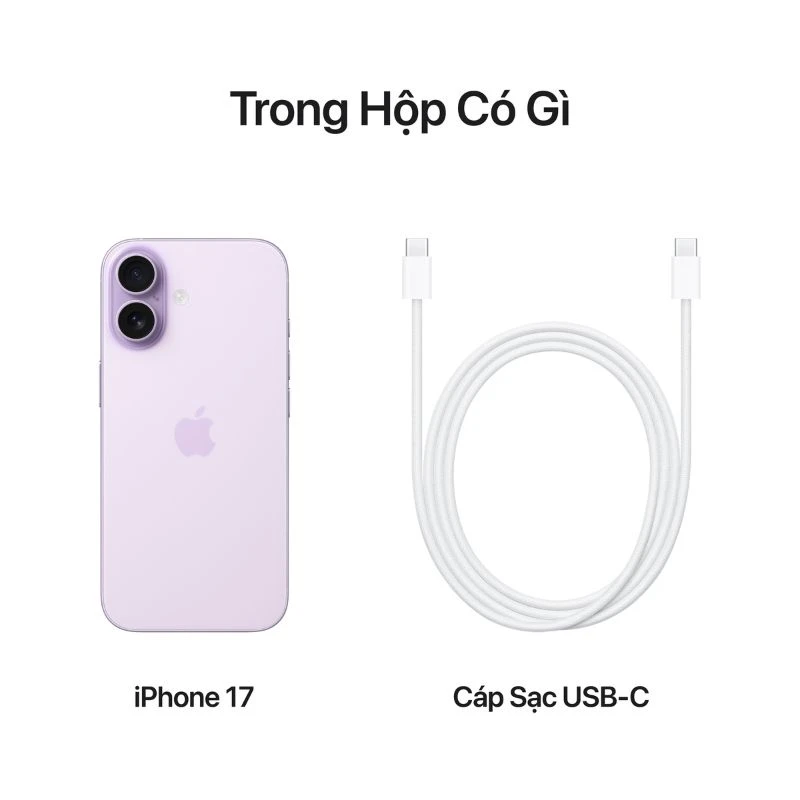 Điện thoại Apple iPhone 17 256GB VN/A
