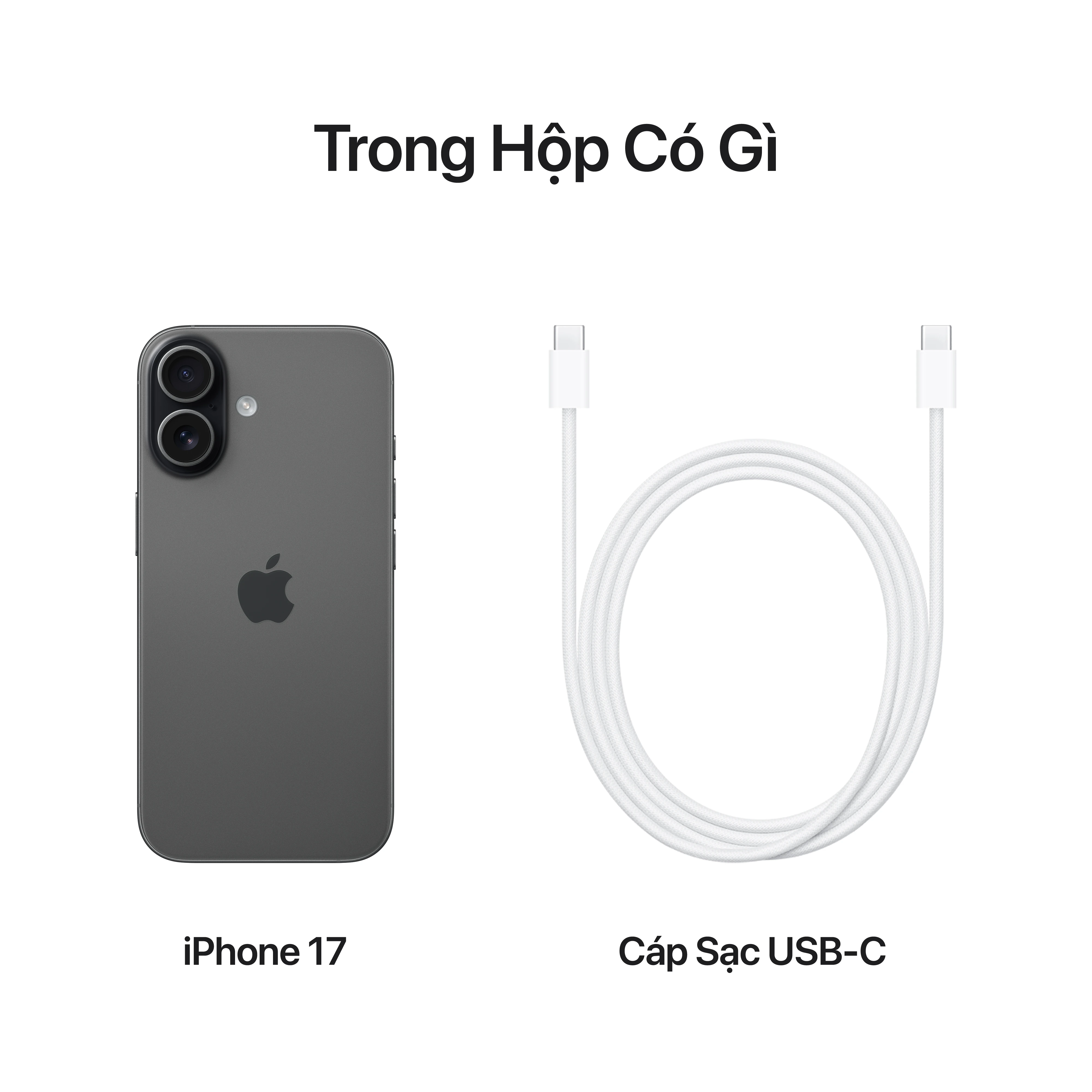 Điện thoại Apple iPhone 17 256GB VN/A