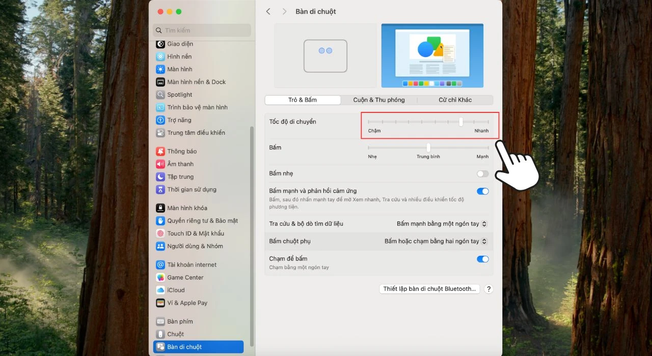 Tăng tốc độ di chuyển trỏ chuột trên MacBook cực đơn giản