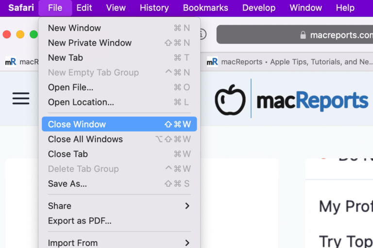 Nhấn Close Window ở mục File để đóng 1 tab Safari
