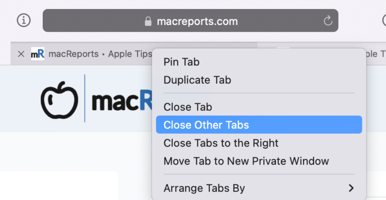 Nhấn Close Other Tabs để đóng tất cả các tab trình duyệt