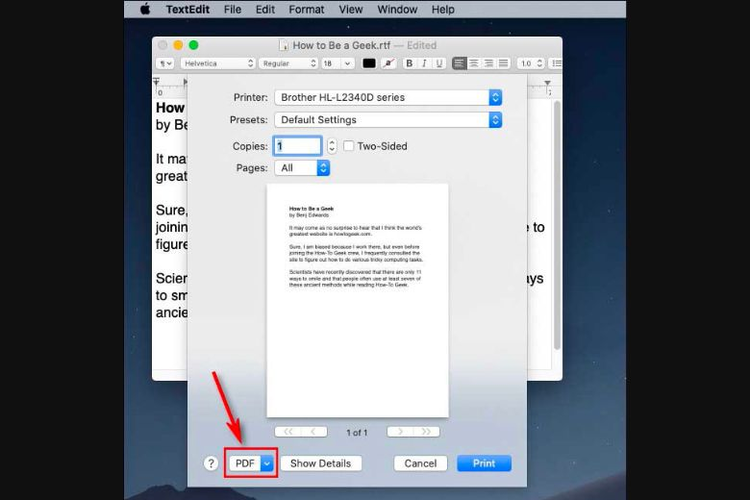 Hộp thoại Print hiện ra, bạn tìm giao diện PDF ở góc dưới màn hình bên trái 